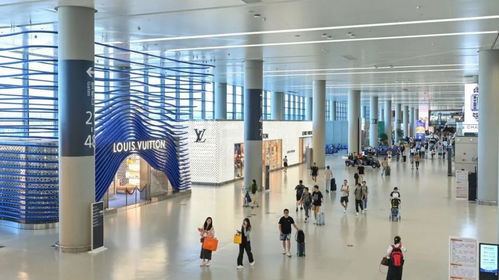 東航發(fā)布最新退改簽政策，上海機(jī)場(chǎng)為旅客提供不間斷信息咨詢服務(wù)